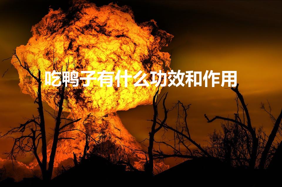 吃鸭子有什么功效和作用（吃鸭子有什么好处）