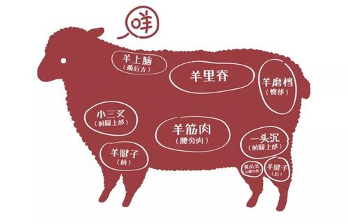 涮羊肉用的羊肉哪个部位最好（涮羊肉最佳部位选择）