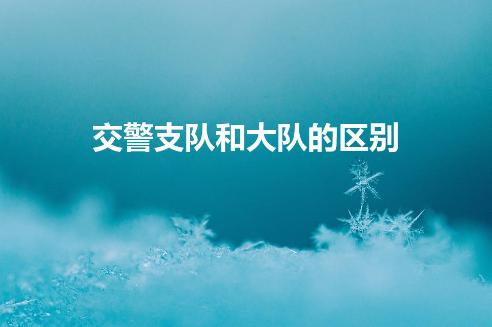 交警支队和大队的区别（交警支队和交警大队有什么区别）