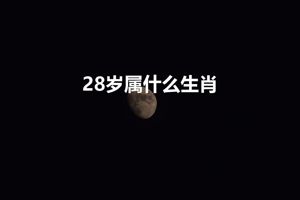 28岁属什么生肖（28岁属什么生肖2022）
