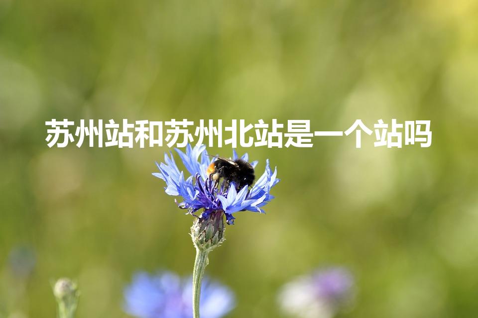 苏州站和苏州北站是一个站吗（苏州北站和苏州站是一个站吗）