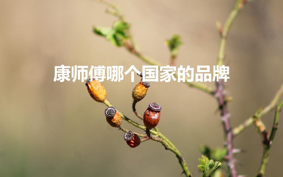 康师傅哪个国家的品牌（康师傅是哪国的牌子）