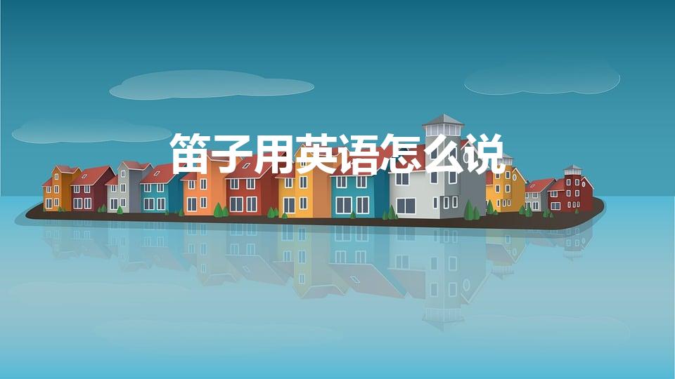 笛子用英语怎么说（笛子的英语单词怎么写）