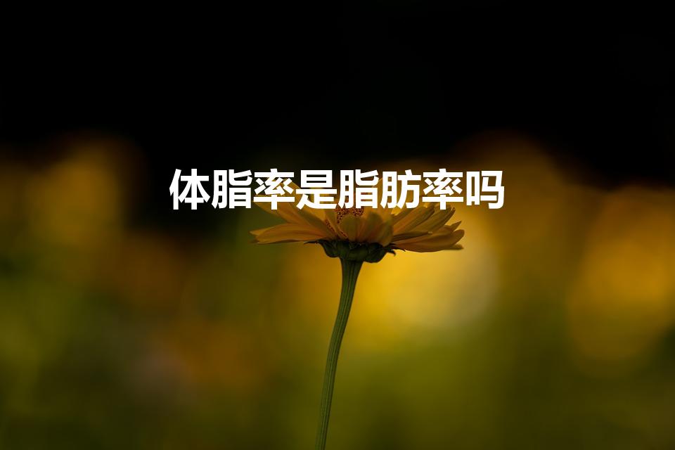 体脂率是脂肪率吗（体脂肪率是什么）