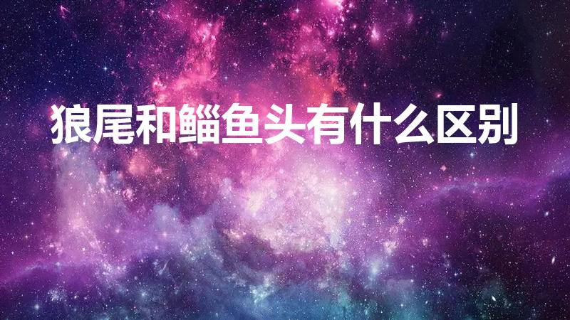 狼尾和鲻鱼头有什么区别（鲻鱼头和狼尾发的区别）