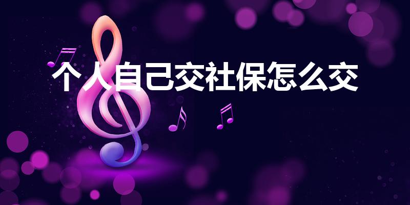 个人自己交社保怎么交（个人怎么给自己交社保）