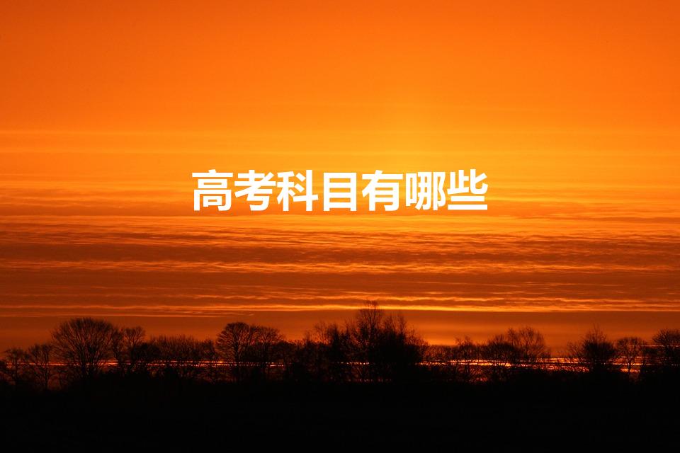 高考科目有哪些（高考有几门科目）