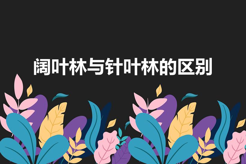阔叶林与针叶林的区别（针叶林和阔叶林的区别）