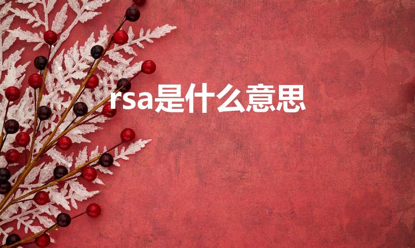 rsa是什么意思（君越哈曼卡顿音响rsa是什么意思）