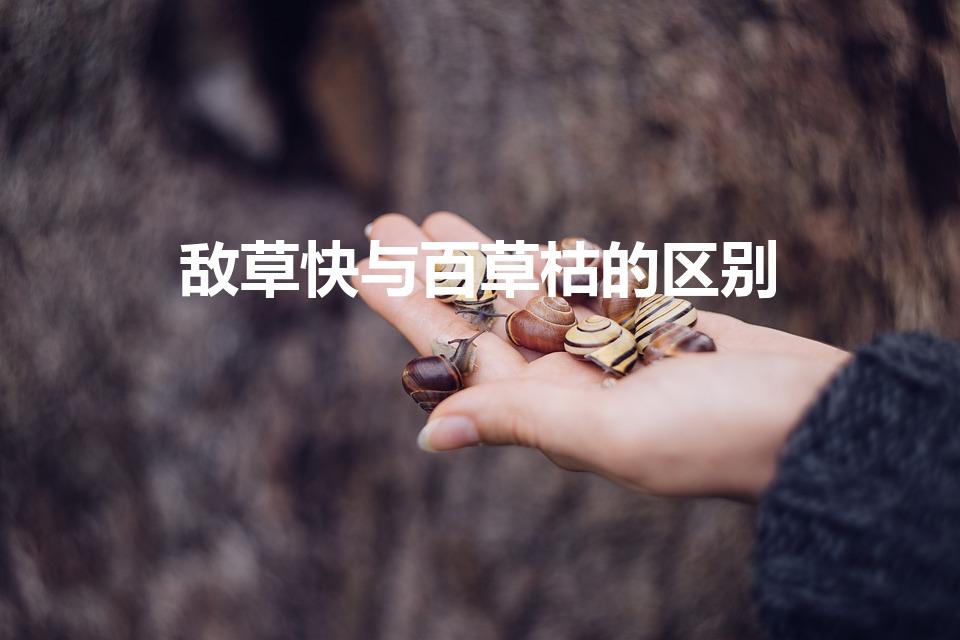 敌草快与百草枯的区别（敌草快与百草枯哪个毒性大）