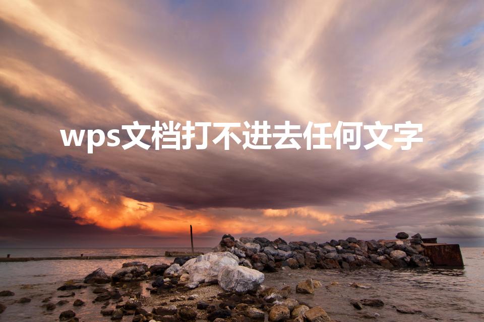 wps文档打不进去任何文字（wps字敲不进去怎么办）