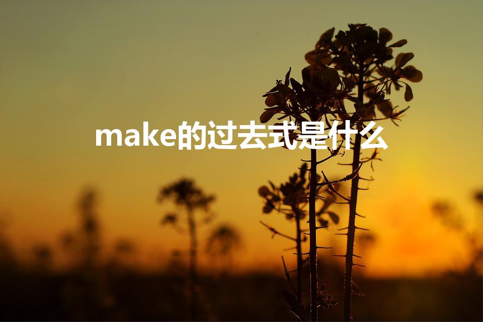 make的过去式是什么（make过去式和过去分词）