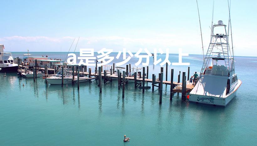 a是多少分以上（a+是多少分以上）