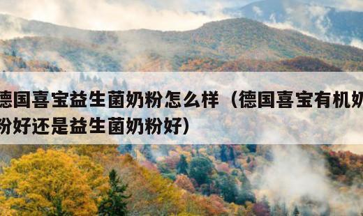 德国喜宝益生菌奶粉怎么样？德国喜宝有机奶粉好还是益生菌奶粉好