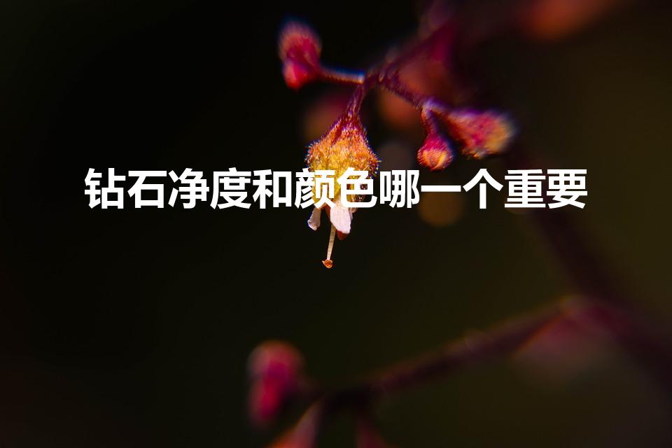 钻石净度和颜色哪一个重要（钻石戒指颜色净度哪个重要）