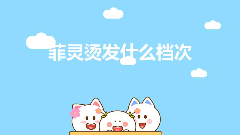 菲灵烫发什么档次（菲灵染发剂什么档次）