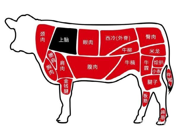 上肉是哪个部位（上肉部位解析）