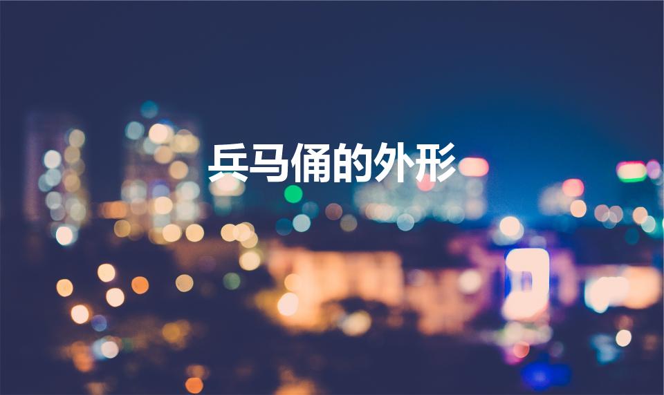 兵马俑的外形（兵马俑外貌是什么样的）