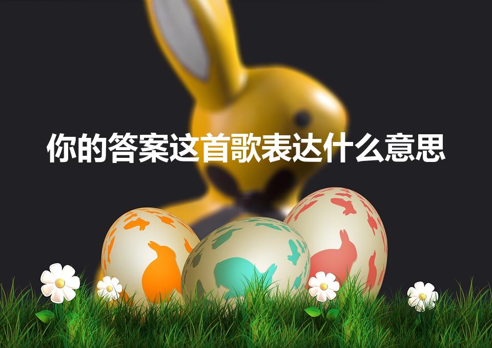 你的答案这首歌表达什么意思（关于你的答案这首歌的感悟）