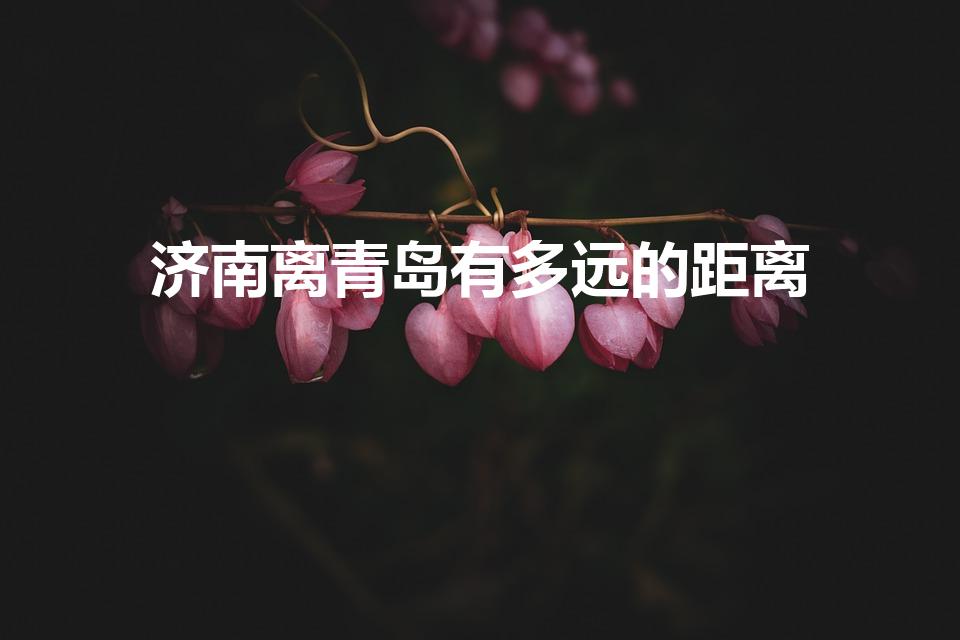 济南离青岛有多远的距离（济南到青岛多少公里）