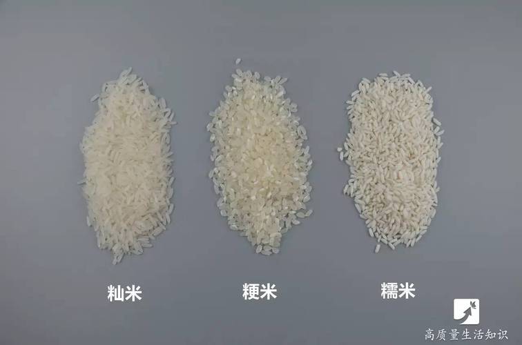 梗米籼米什么意思（梗米和籼米的区别解析）