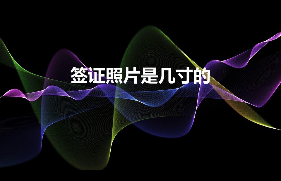 签证照片是几寸的（办理签证时需要多大的照片）