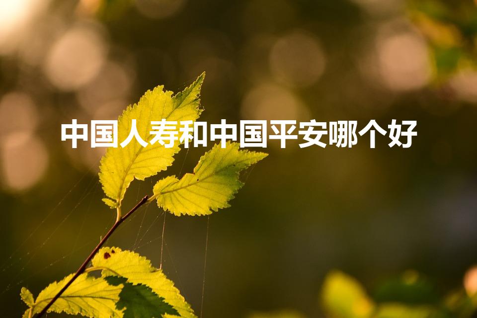 中国人寿和中国平安哪个好（中国人寿保险好还是平安保险好）