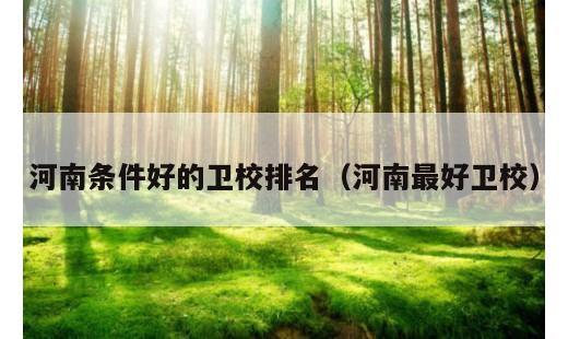 河南条件好的卫校排名？河南最好卫校