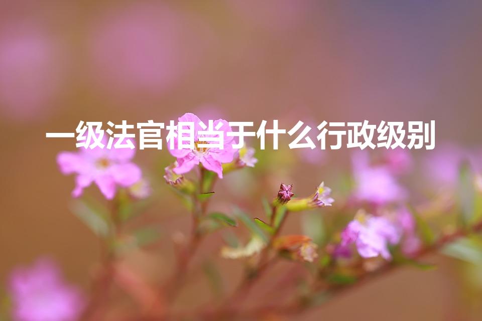 一级法官相当于什么行政级别（法官什么行政级别）