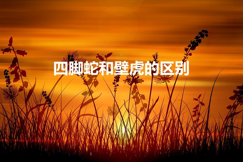 四脚蛇和壁虎的区别（四脚蛇和壁虎的区别是什么）