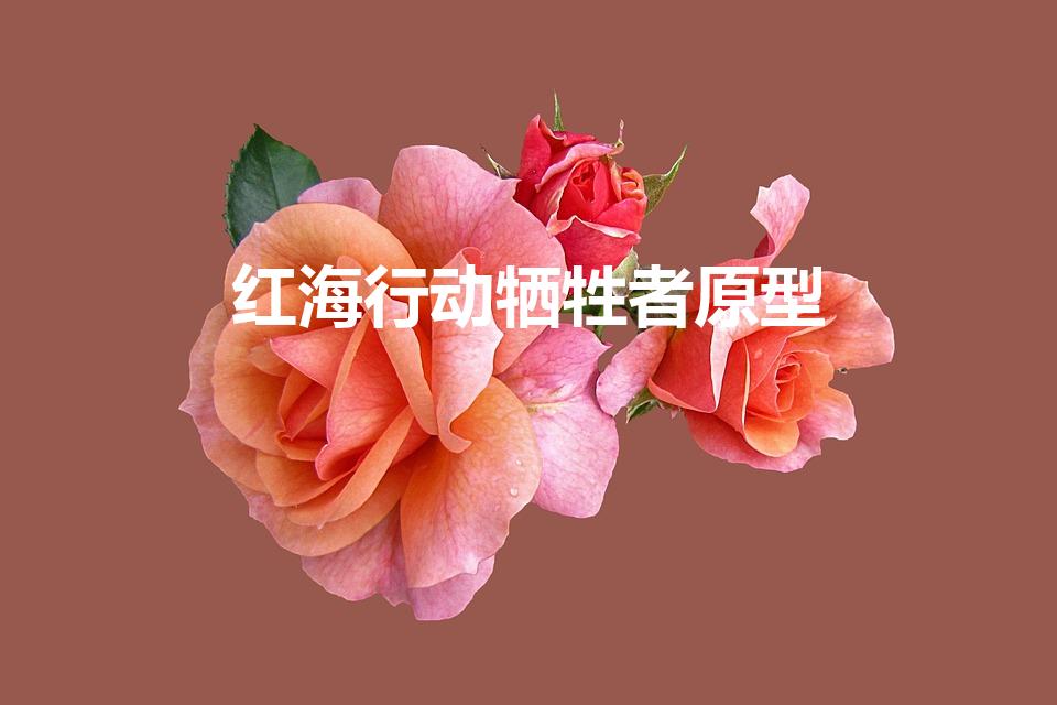 红海行动牺牲者原型（红海行动牺牲的两名战士原型十四是谁）