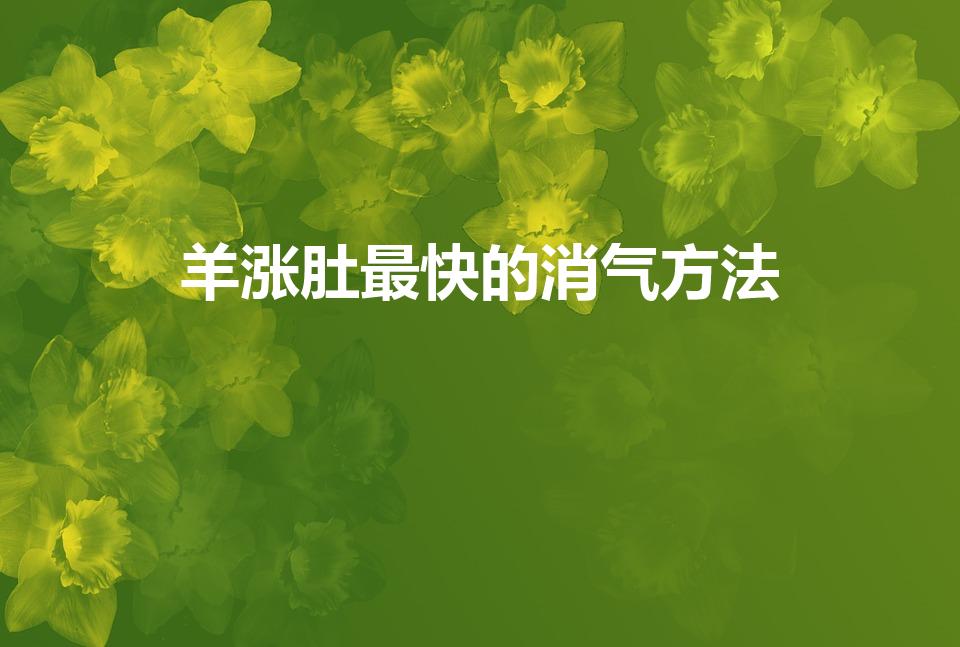 羊涨肚最快的消气方法（羊吃玉米多了涨肚最快解决办法）