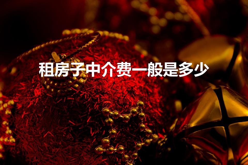 租房子中介费一般是多少（租房的中介费是多少）