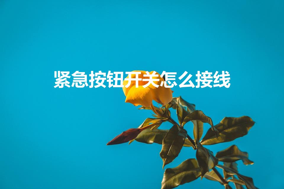 紧急按钮开关怎么接线（家里红色报警按钮怎么接线）