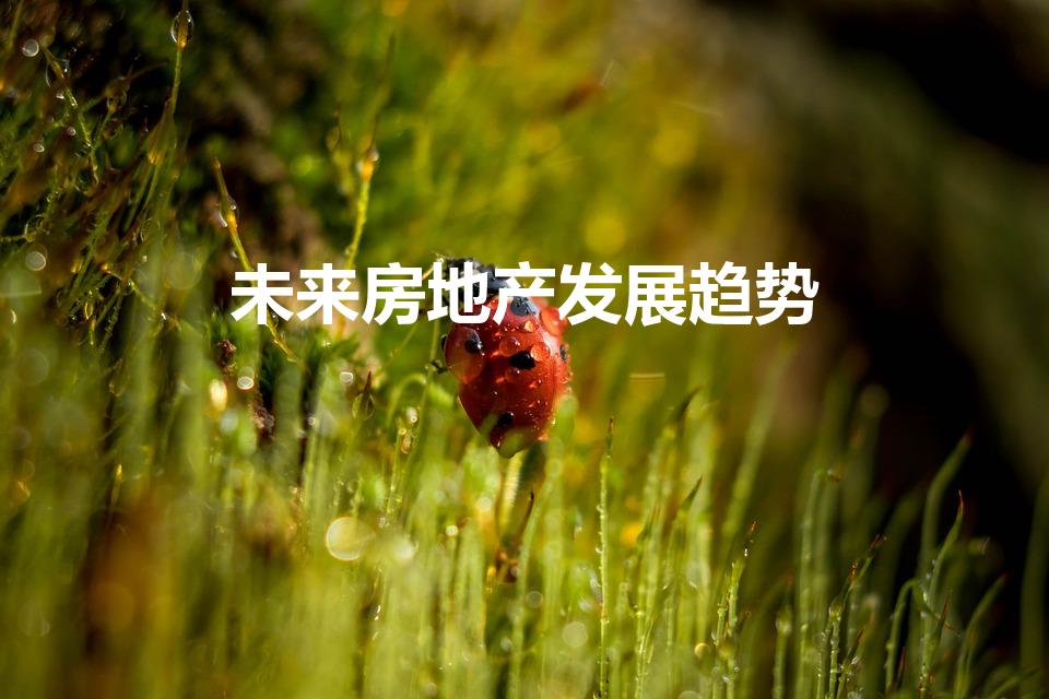 未来房地产发展趋势（房地产未来发展趋势）