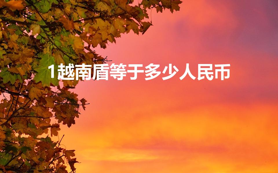 1越南盾等于多少人民币（越南盾对人民币汇率.）