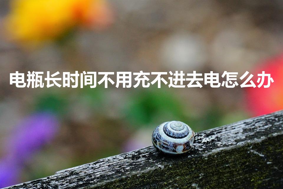 电瓶长时间不用充不进去电怎么办
