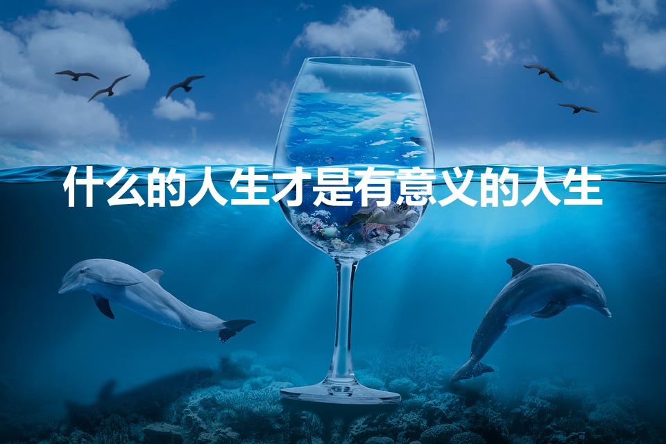 什么的人生才是有意义的人生（什么样的人生才会有价值）