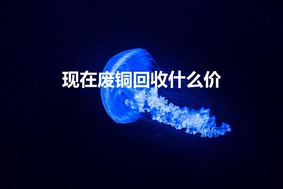 现在废铜回收什么价（废铜线多少钱一斤回收）