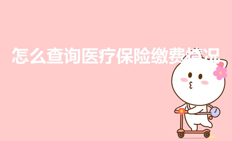 怎么查询医疗保险缴费情况（怎么查询自己的医保缴了多少）