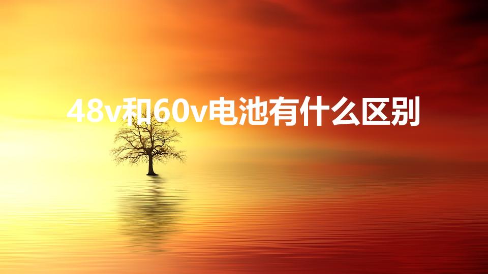 48v和60v电池有什么区别