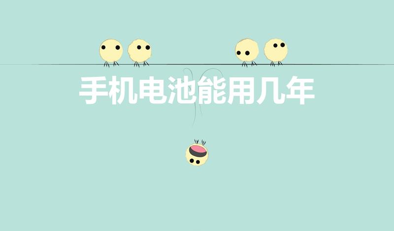 手机电池能用几年（手机电池一般使用寿命是多久啊）