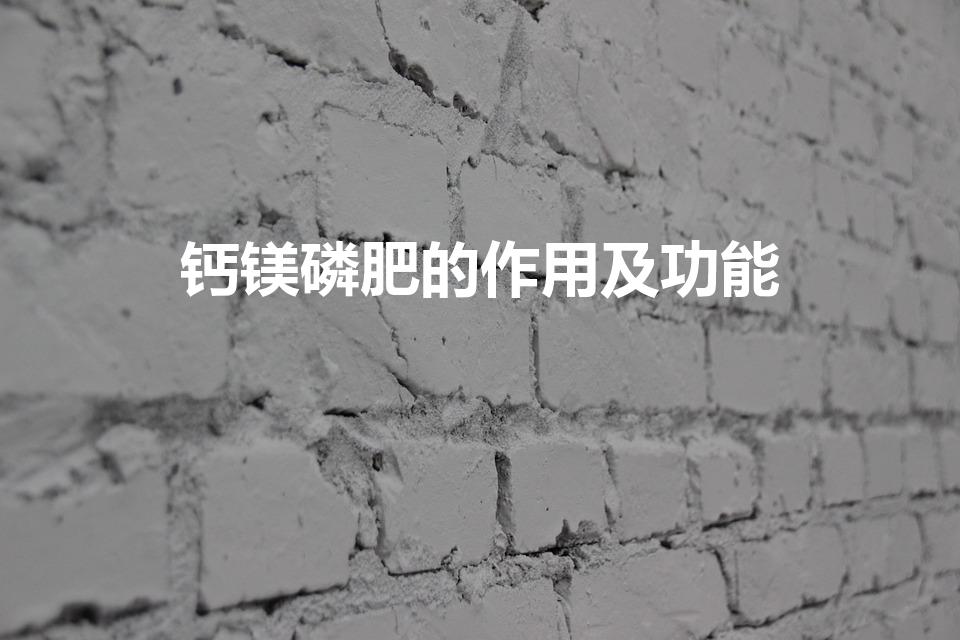 钙镁磷肥的作用及功能（磷肥的作用及功能）