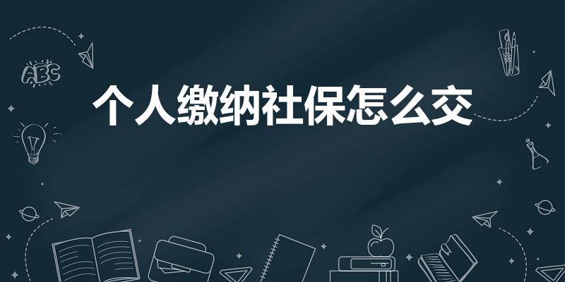 个人缴纳社保怎么交（个人如何缴纳社保）