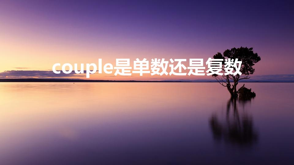 couple是单数还是复数