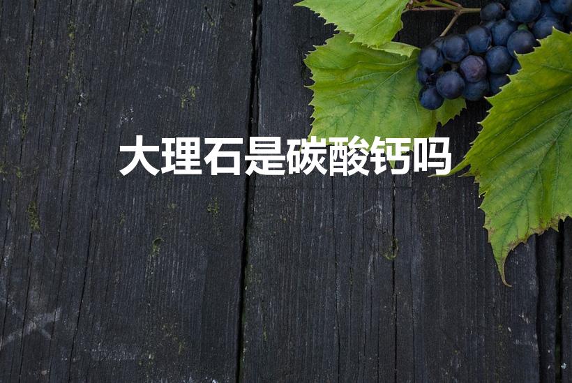 大理石是碳酸钙吗（大理石主要成分的化学式是什么）