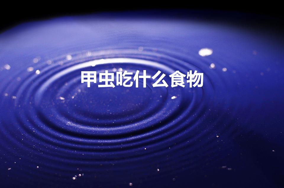 甲虫吃什么食物（甲壳虫吃什么 甲壳虫吃的食物介绍）