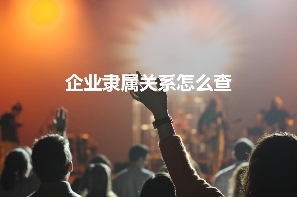 企业隶属关系怎么查（如何证明企业间的隶属关系）