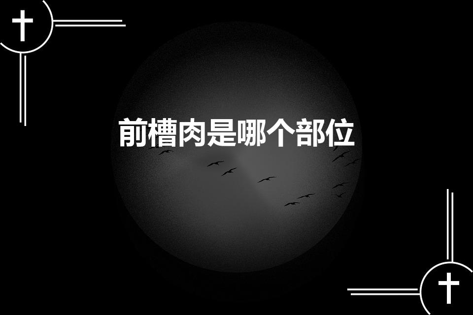 前槽肉是哪个部位（前槽肉和前肘肉的区别）