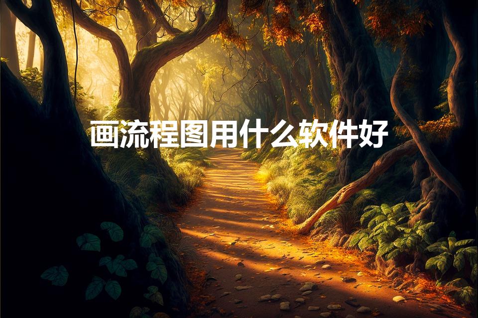 画流程图用什么软件好（最好的画流程图的软件是什么）